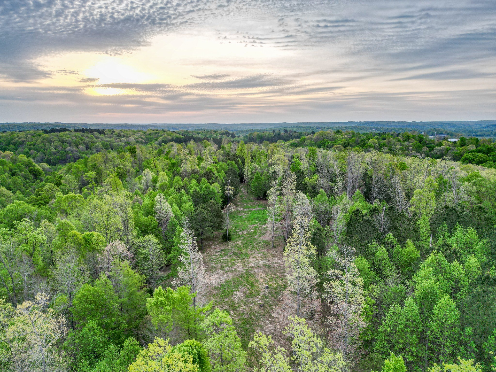 920 Mason Bates Bend Rd