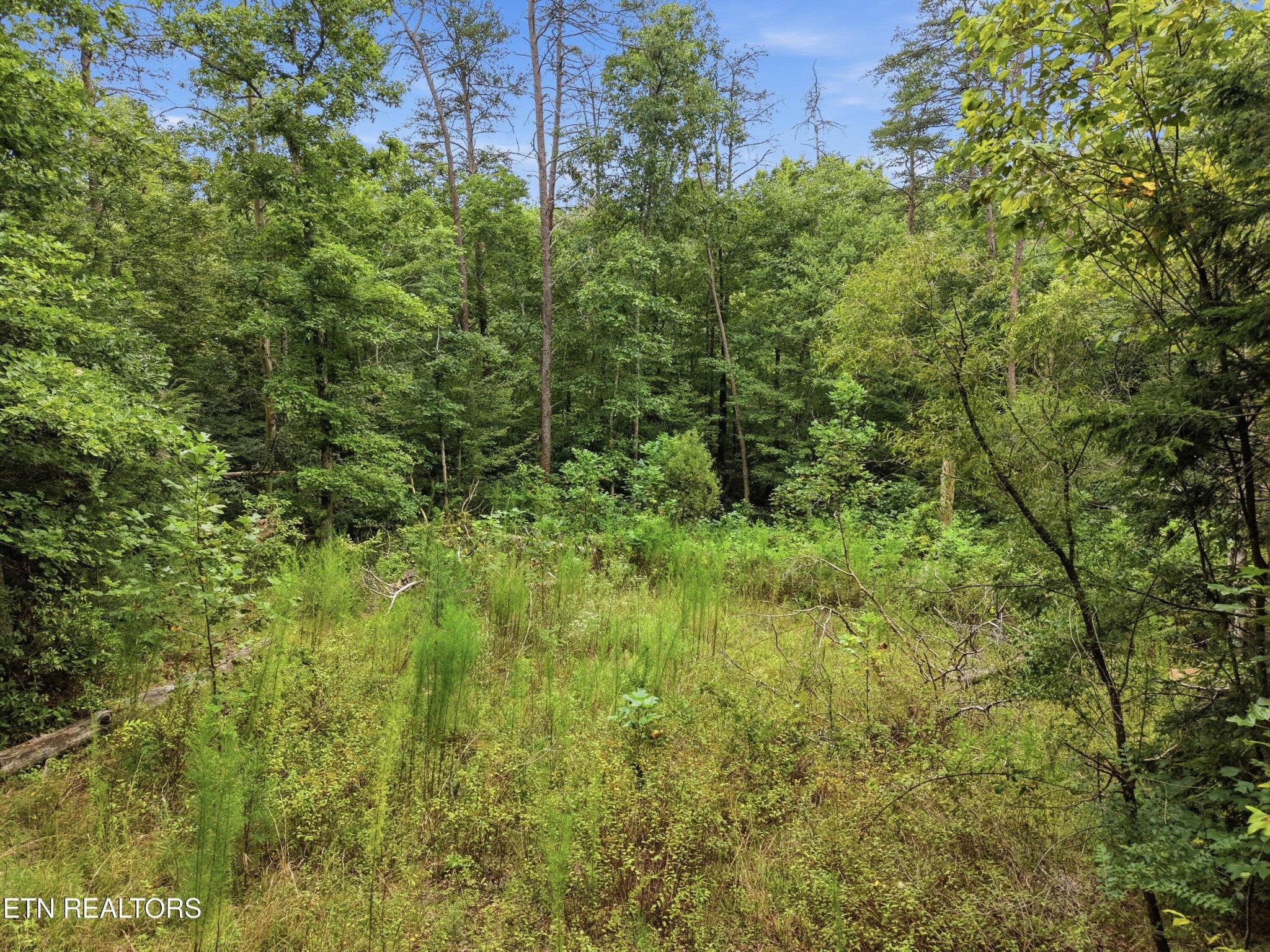 574 River Rd