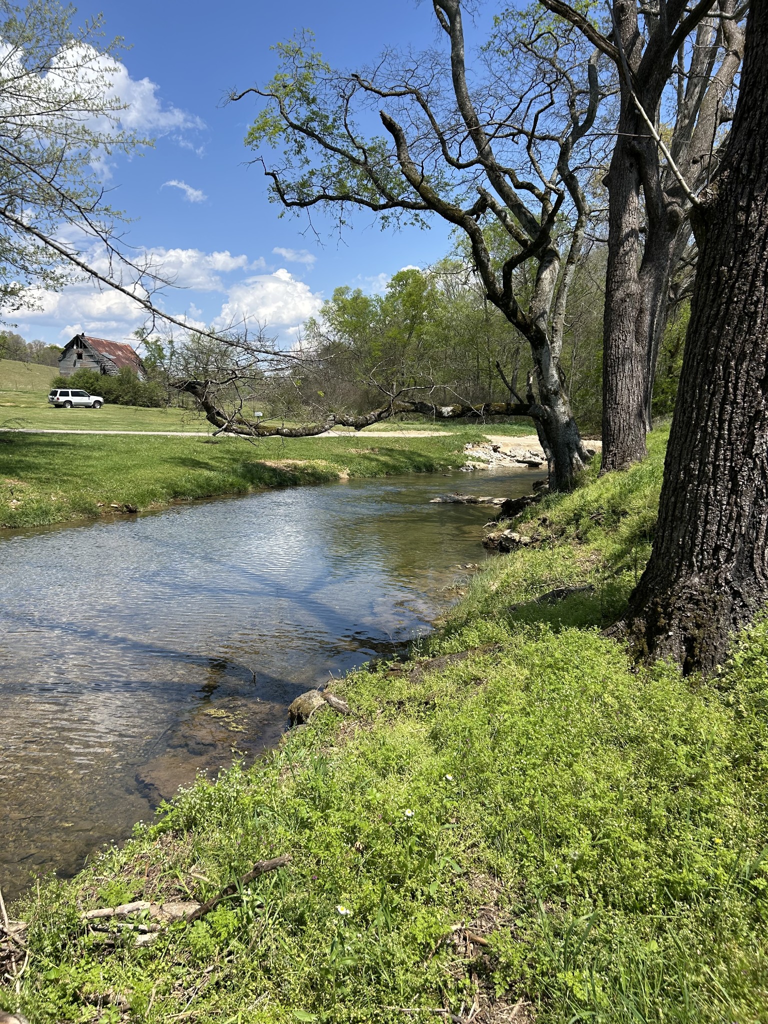 141 Beuerlein Ln