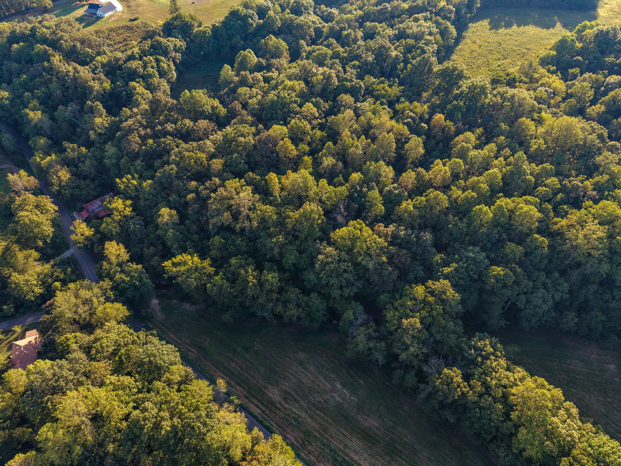 4 Shelter Branch