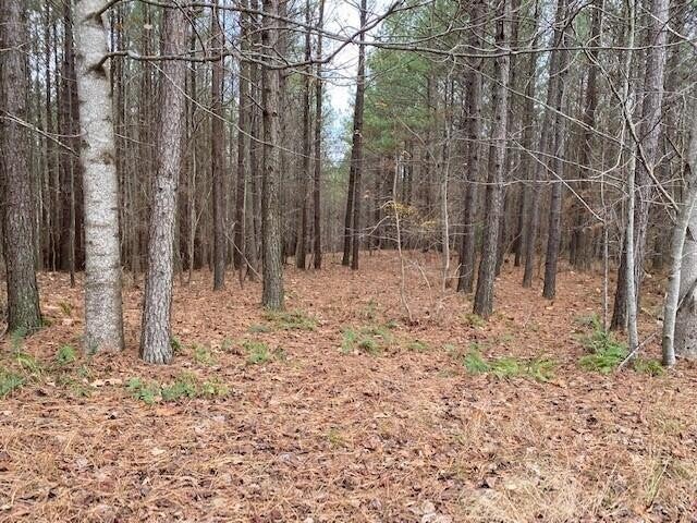 54 Mokay View Drive