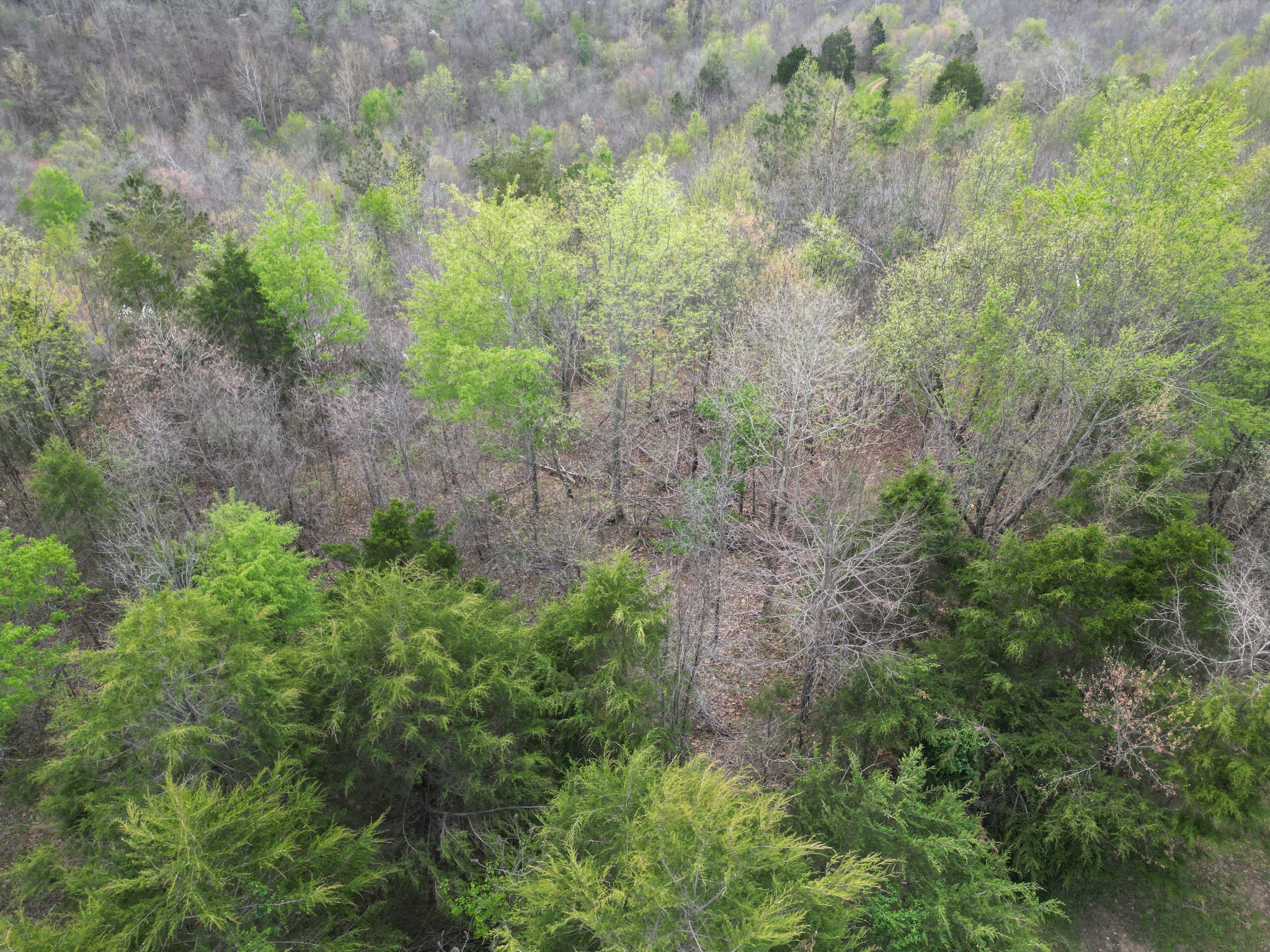 0 Allens Creek Rd