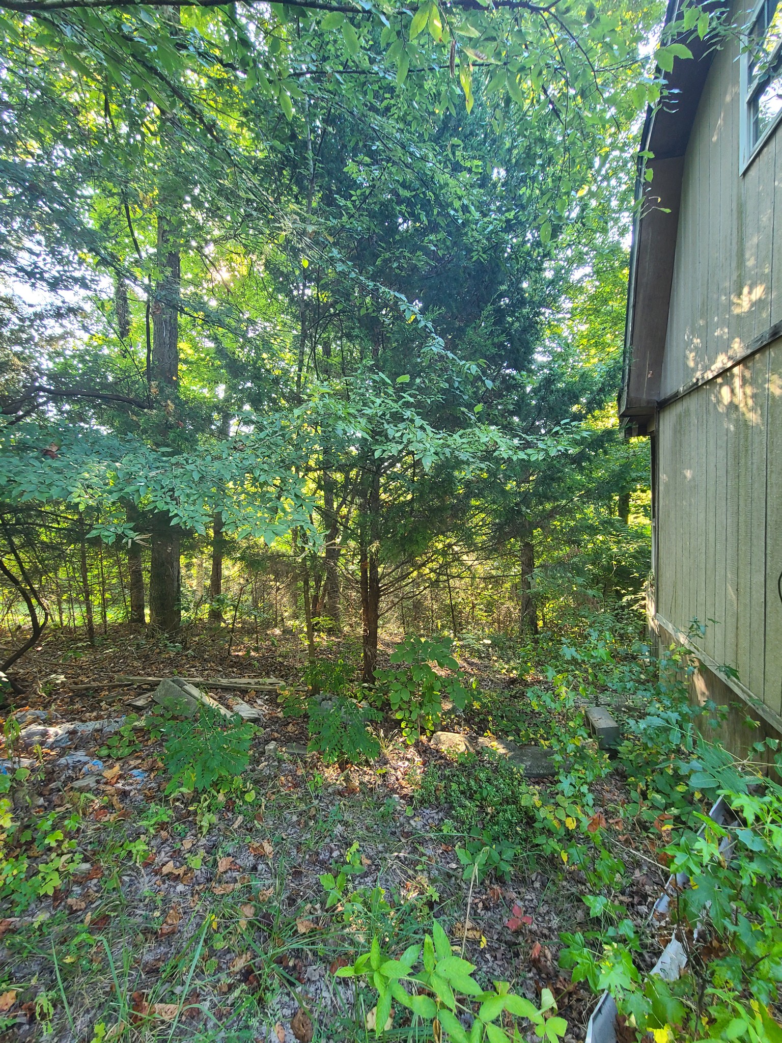 477 Leatherwood Lake Rd