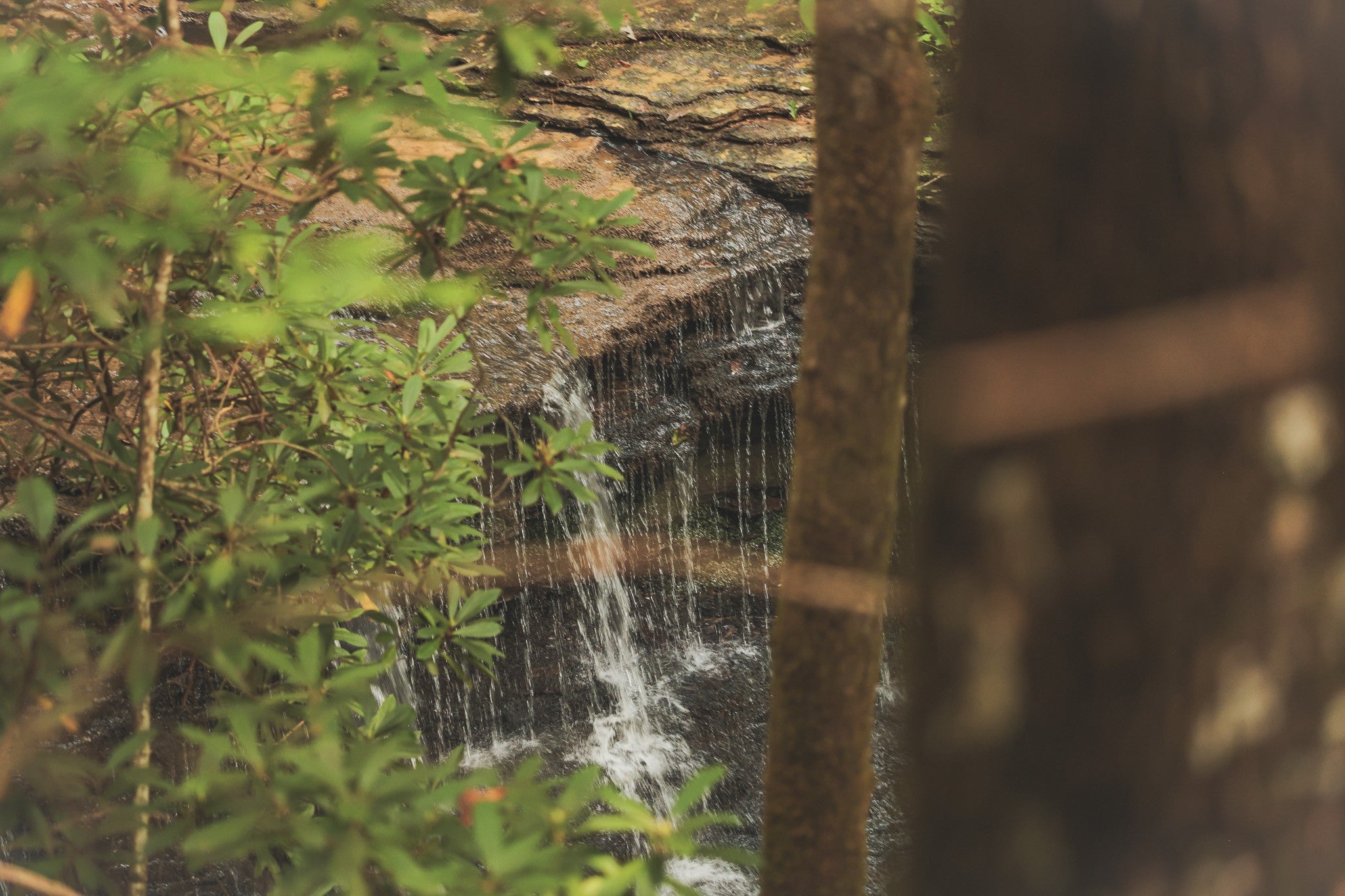 0 Cherokee Trail
