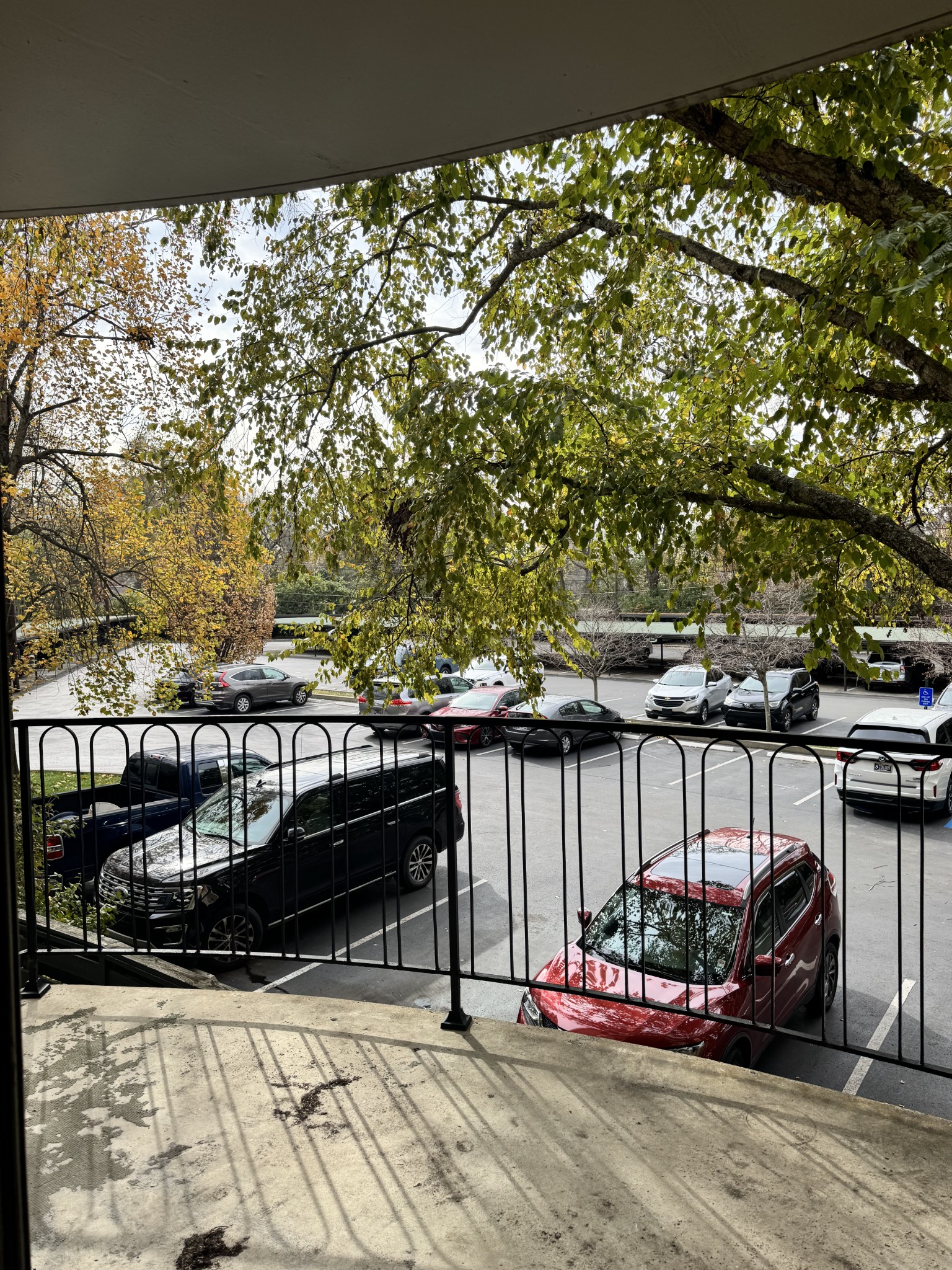 4215 Harding Pike 210