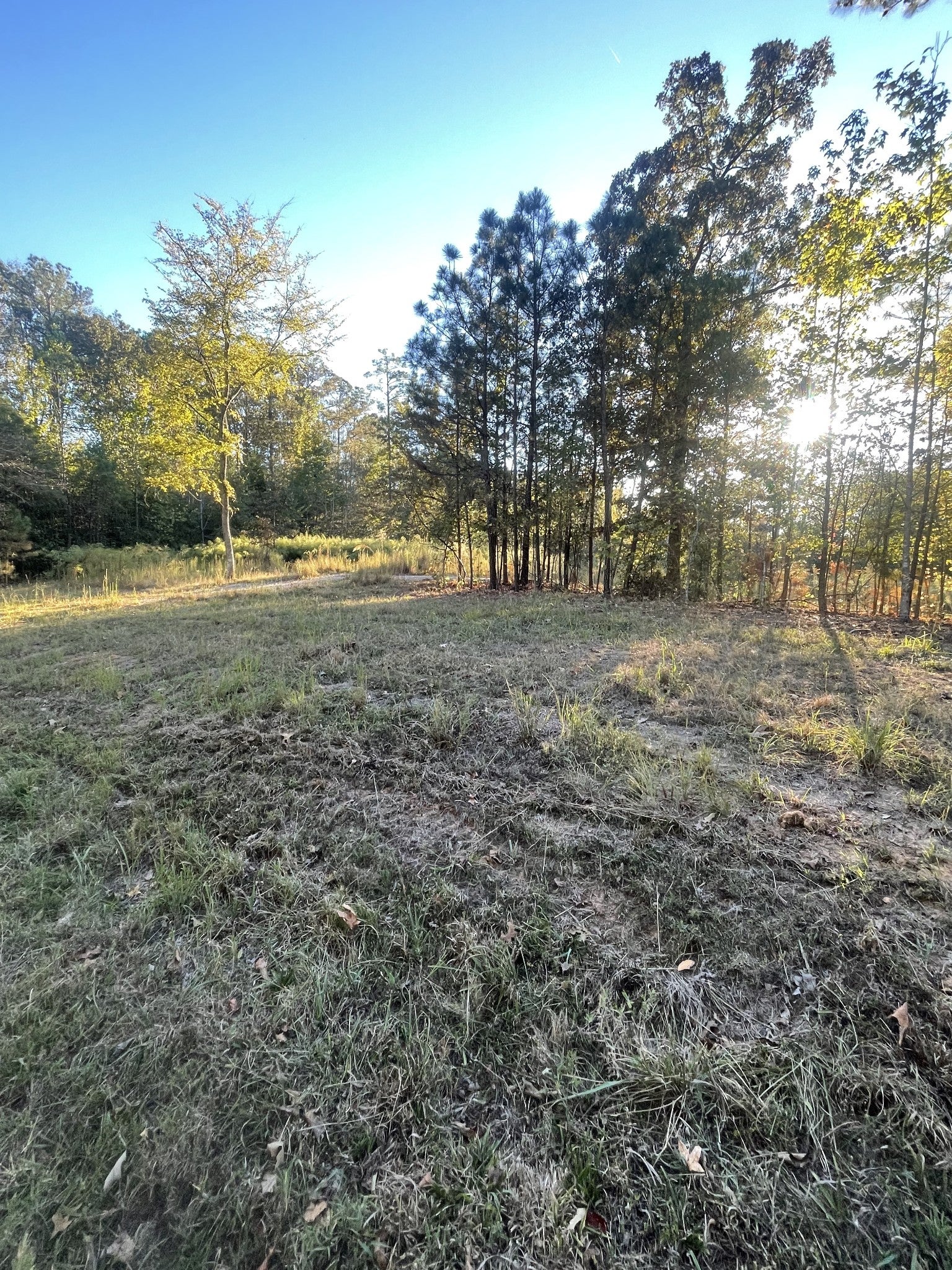883 Pineview Rd
