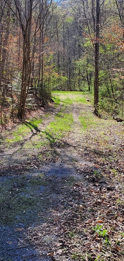 331 Chestnut Ridge