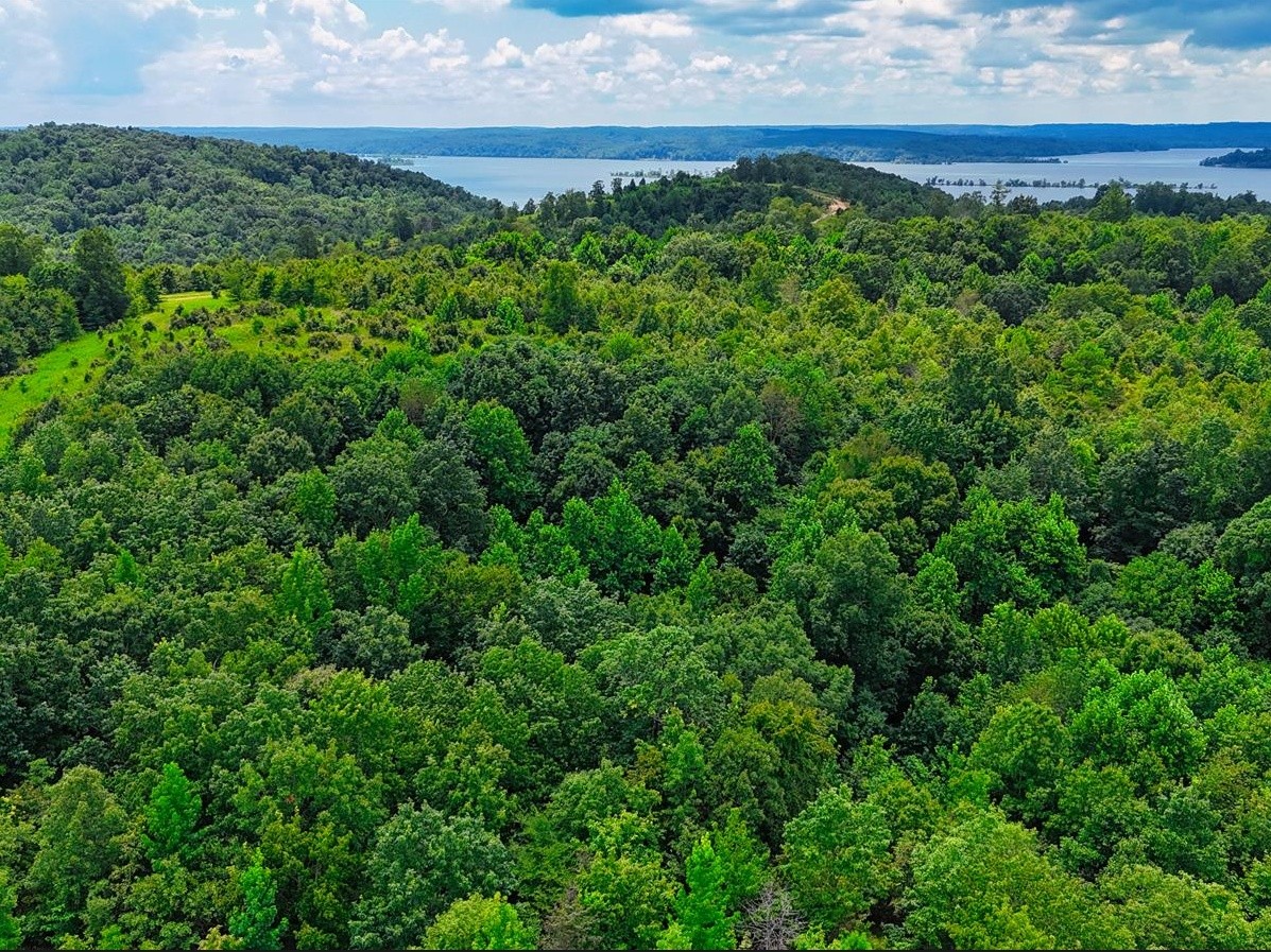 0 Shores Trail