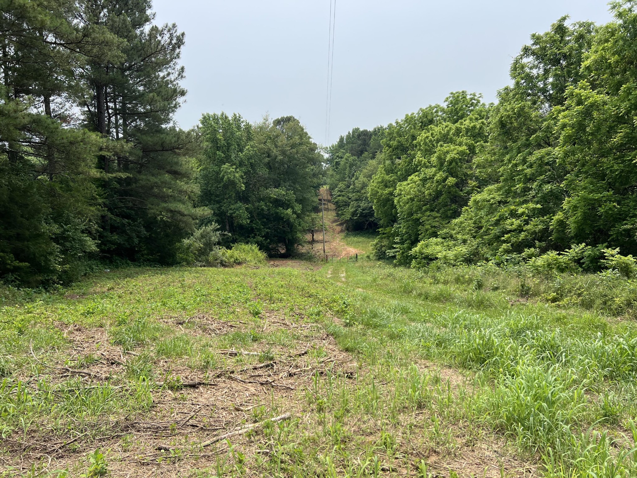 238 County Road 792