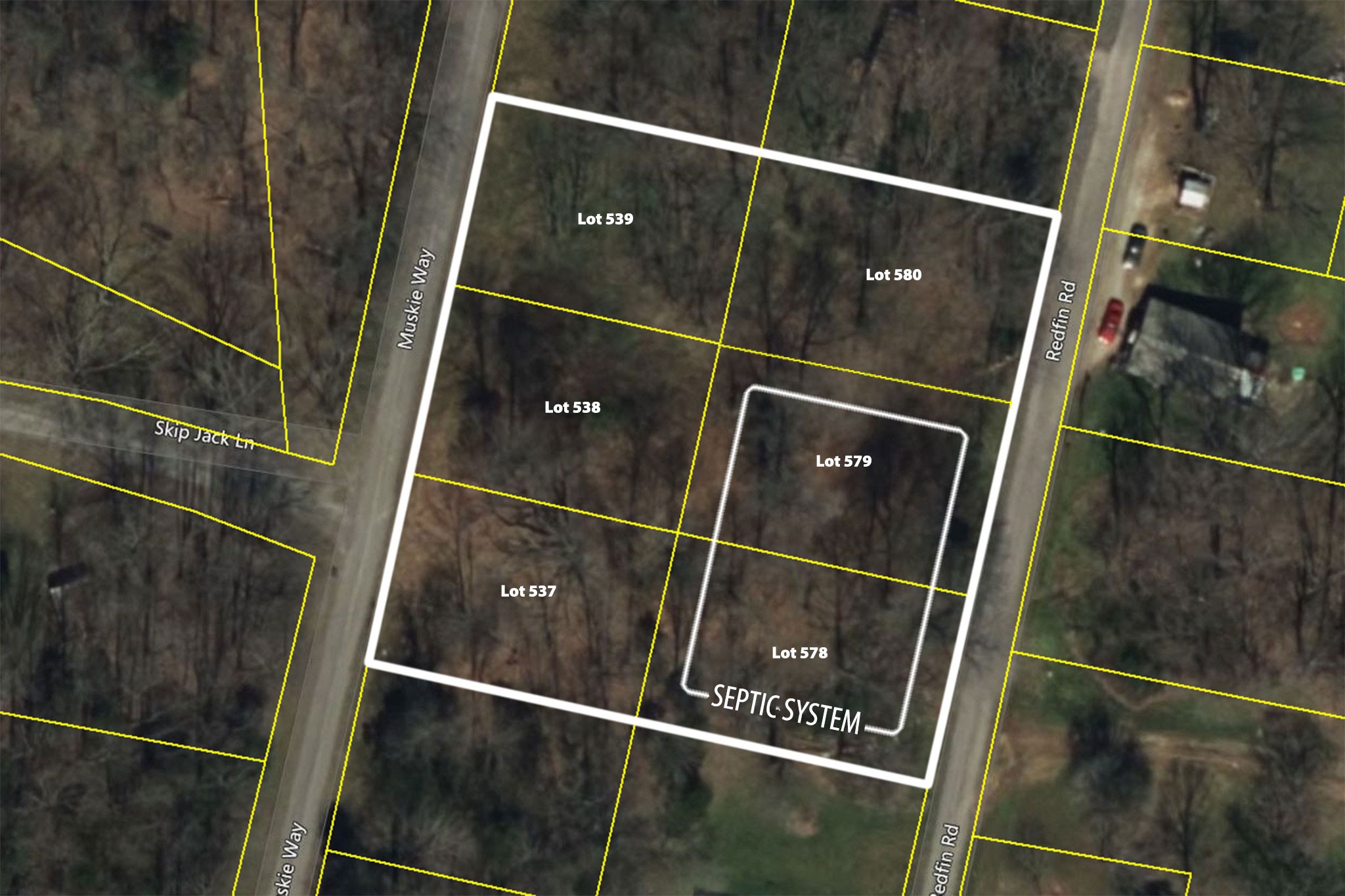 Listing image 2