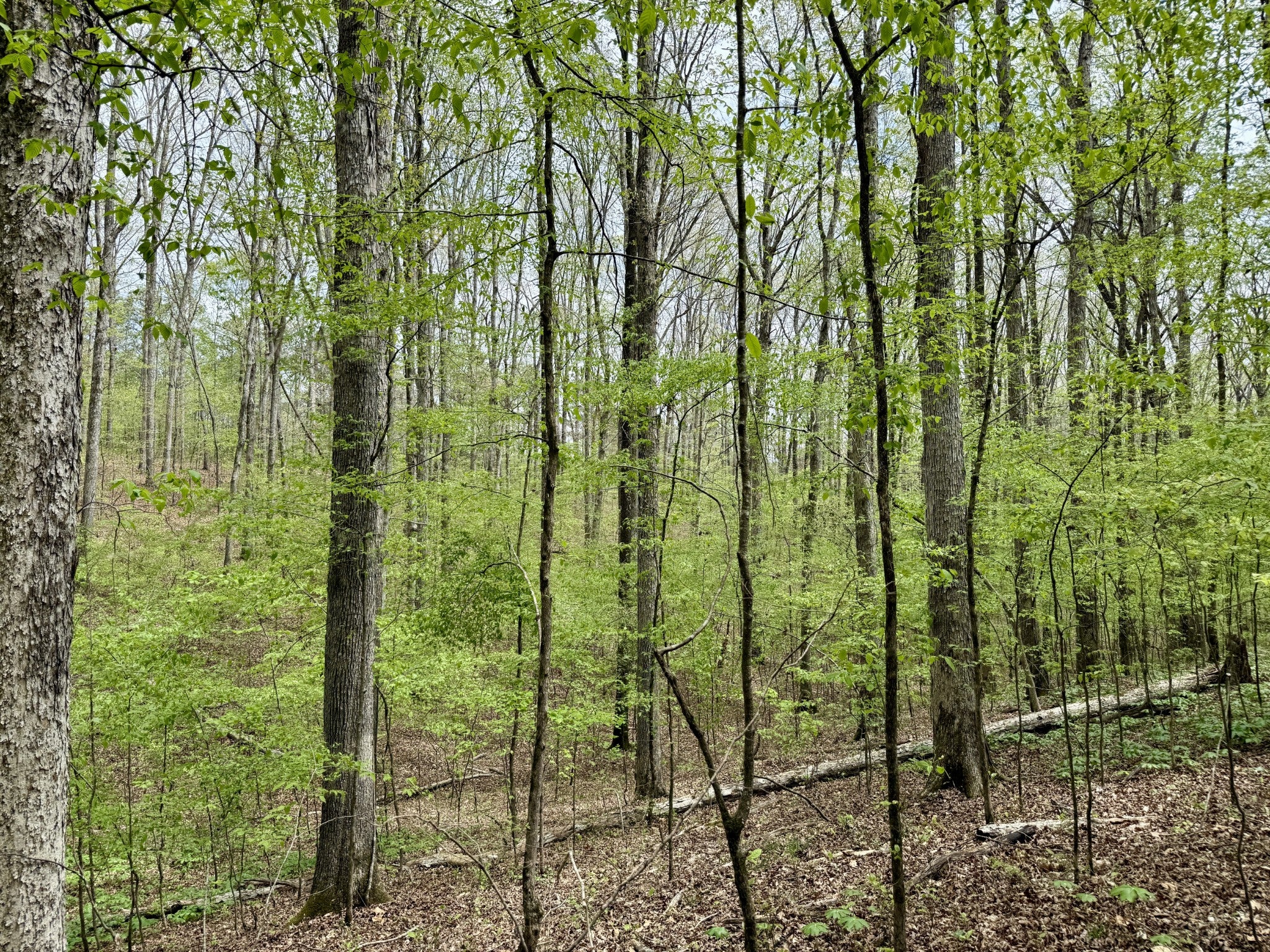 0 W Hunt Hollow Rd