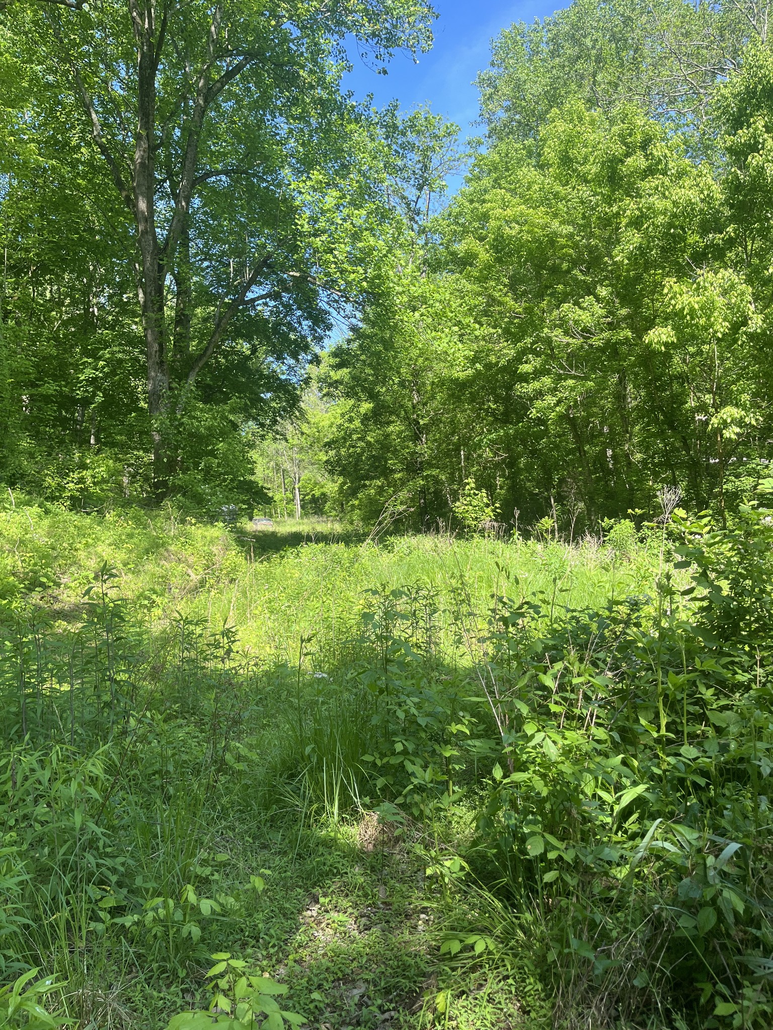 0 Hawkins Rd