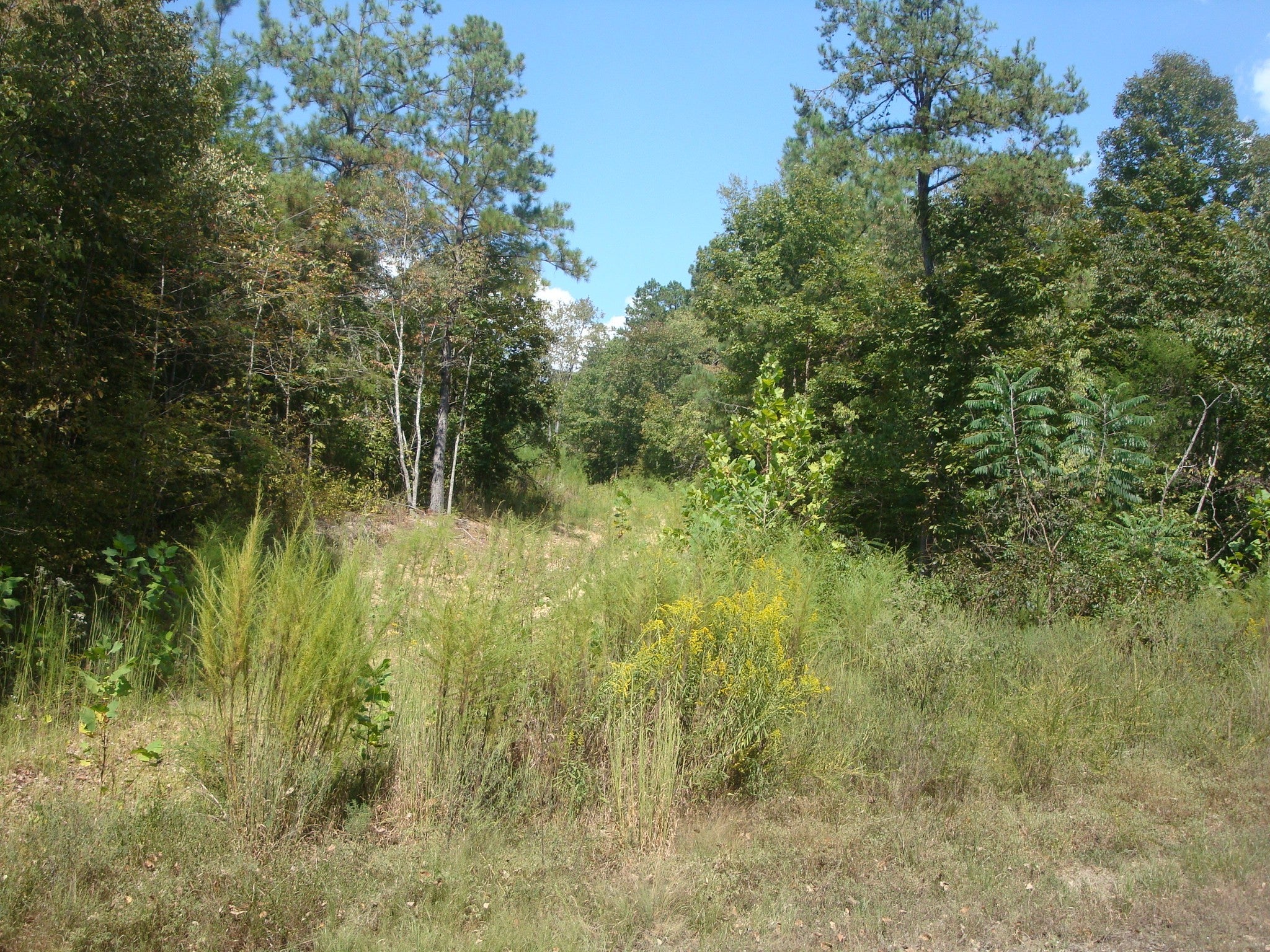 561 Allens Creek Rd