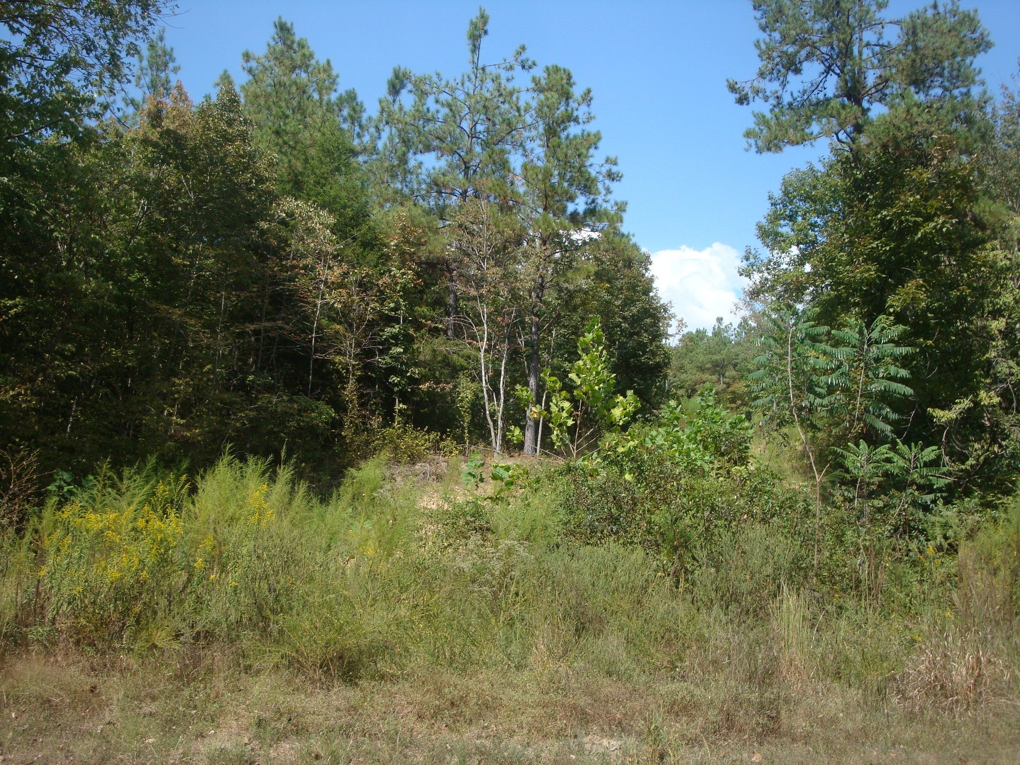 561 Allens Creek Rd