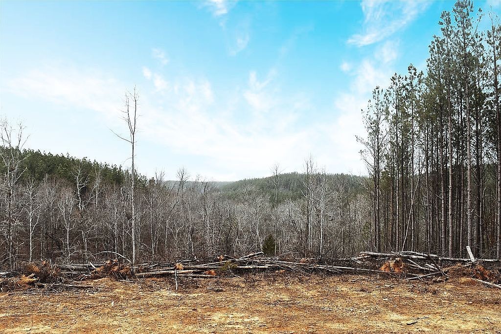 1661 Sassafras Stand Ridge Rd