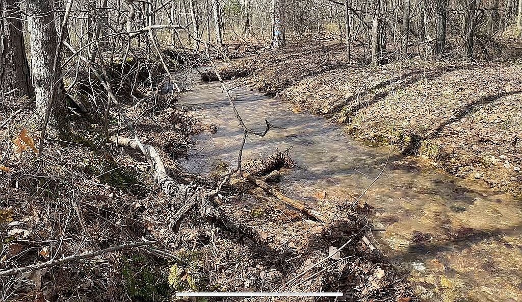 1661 Sassafras Stand Ridge Rd