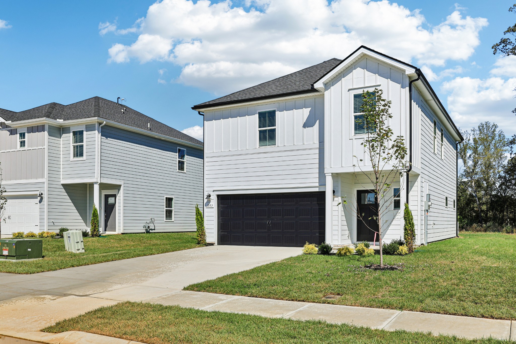 1533 Bear Branch Trce