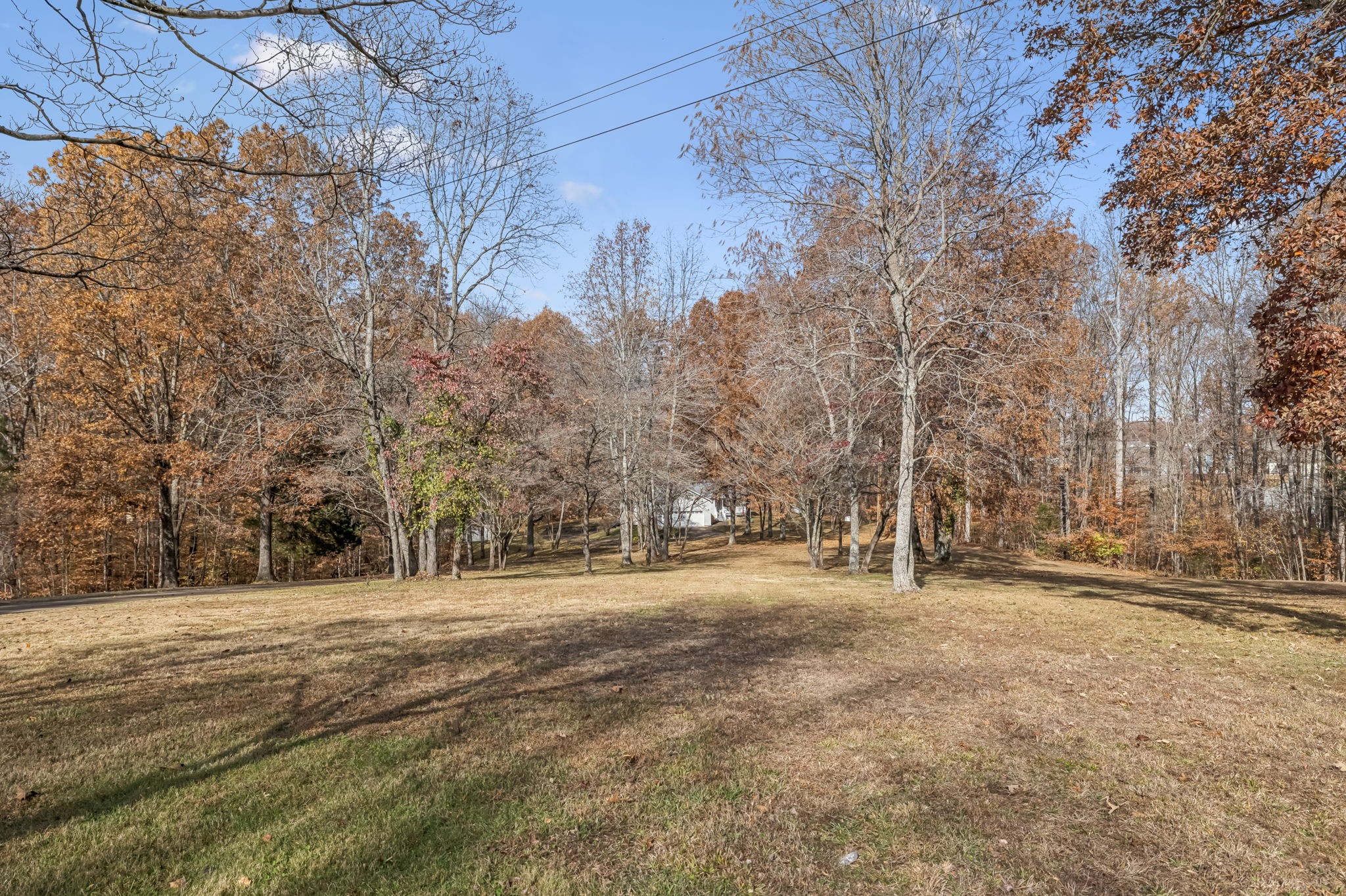 7399 Forrest Glenn Rd