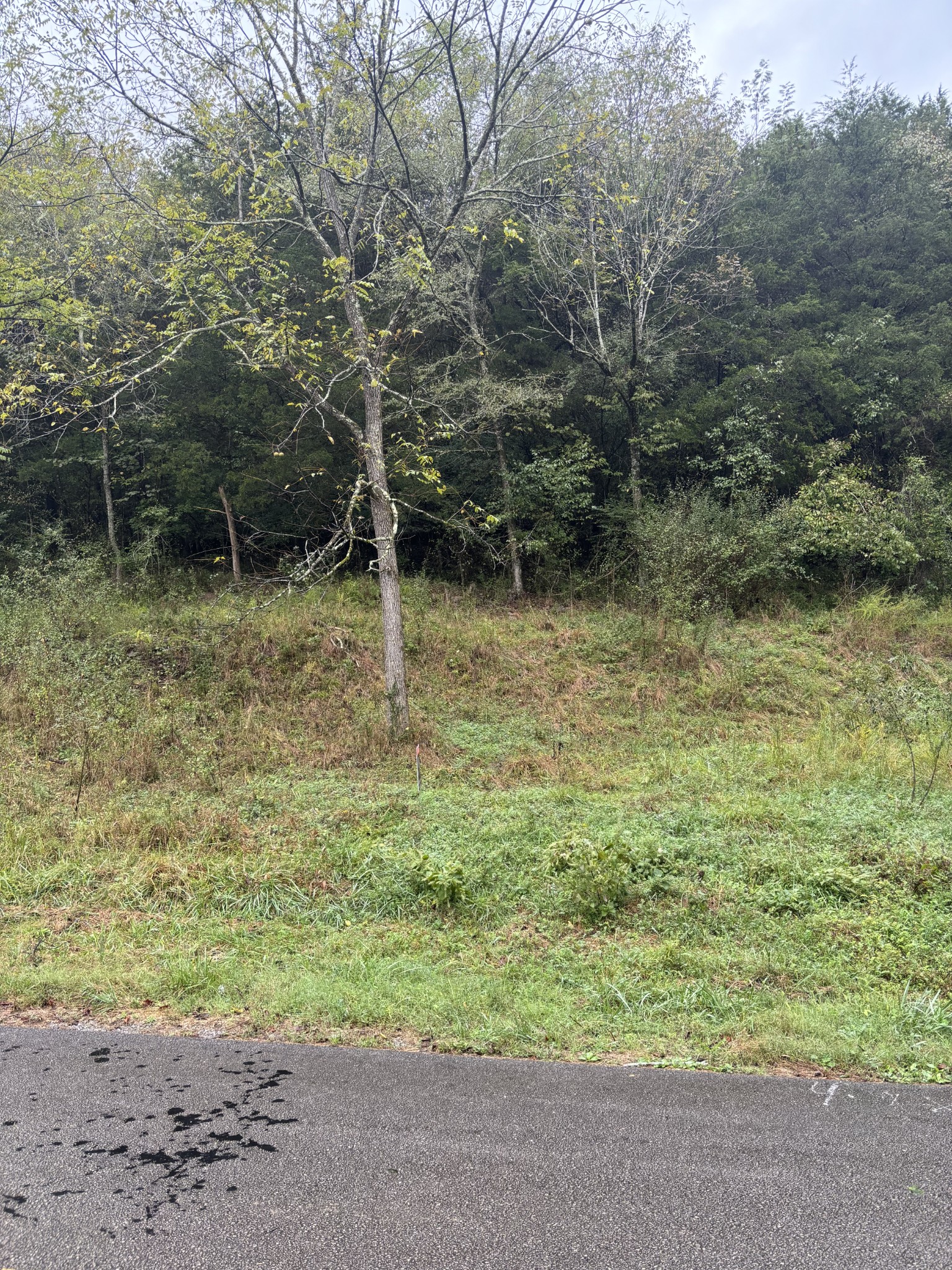 0 Gipson Hollow Road