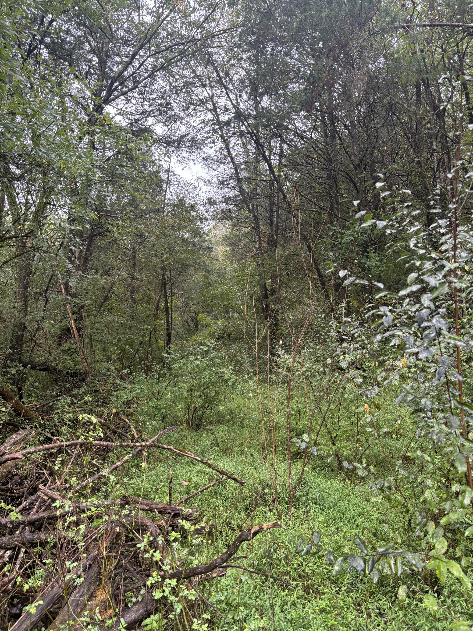 0 Gipson Hollow Road