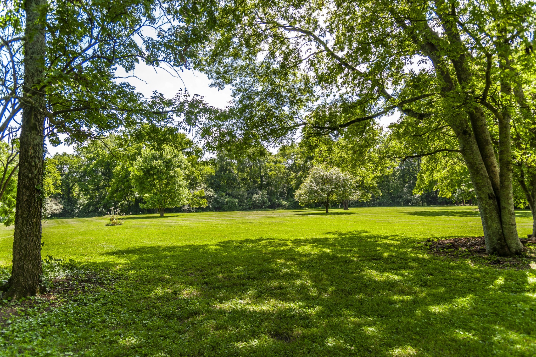 7723 Old Springfield Pike