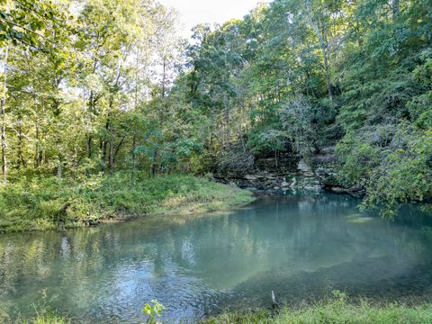 1495 Trace Creek Rd Hohenwald TN 38462