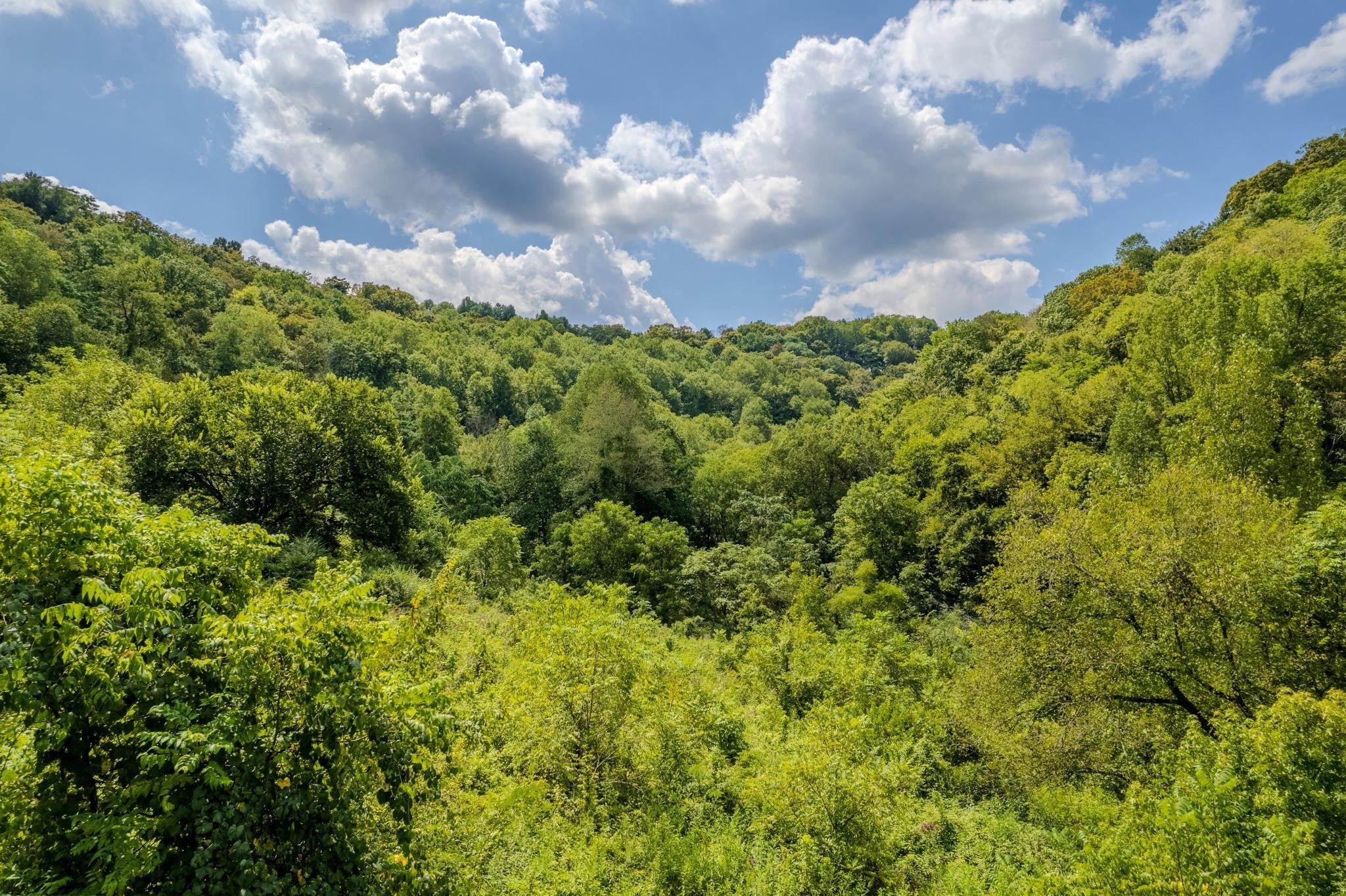 0 Watts Hollow Rd