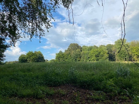 7874 BILL MOSS RD, WHITE HOUSE, TN 37188 - Image 6a67f775d2d6f3b60c4929ab49d3e6bd/2113500544