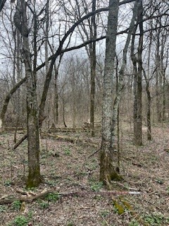 Middle Tennessee Properties 2 9910 Patterson Rd