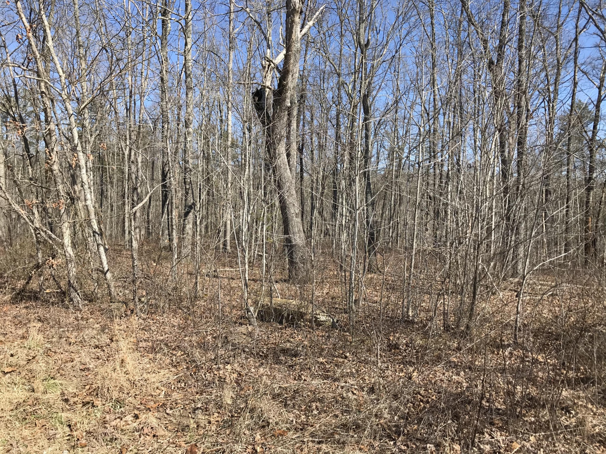 3 Deerhead Road