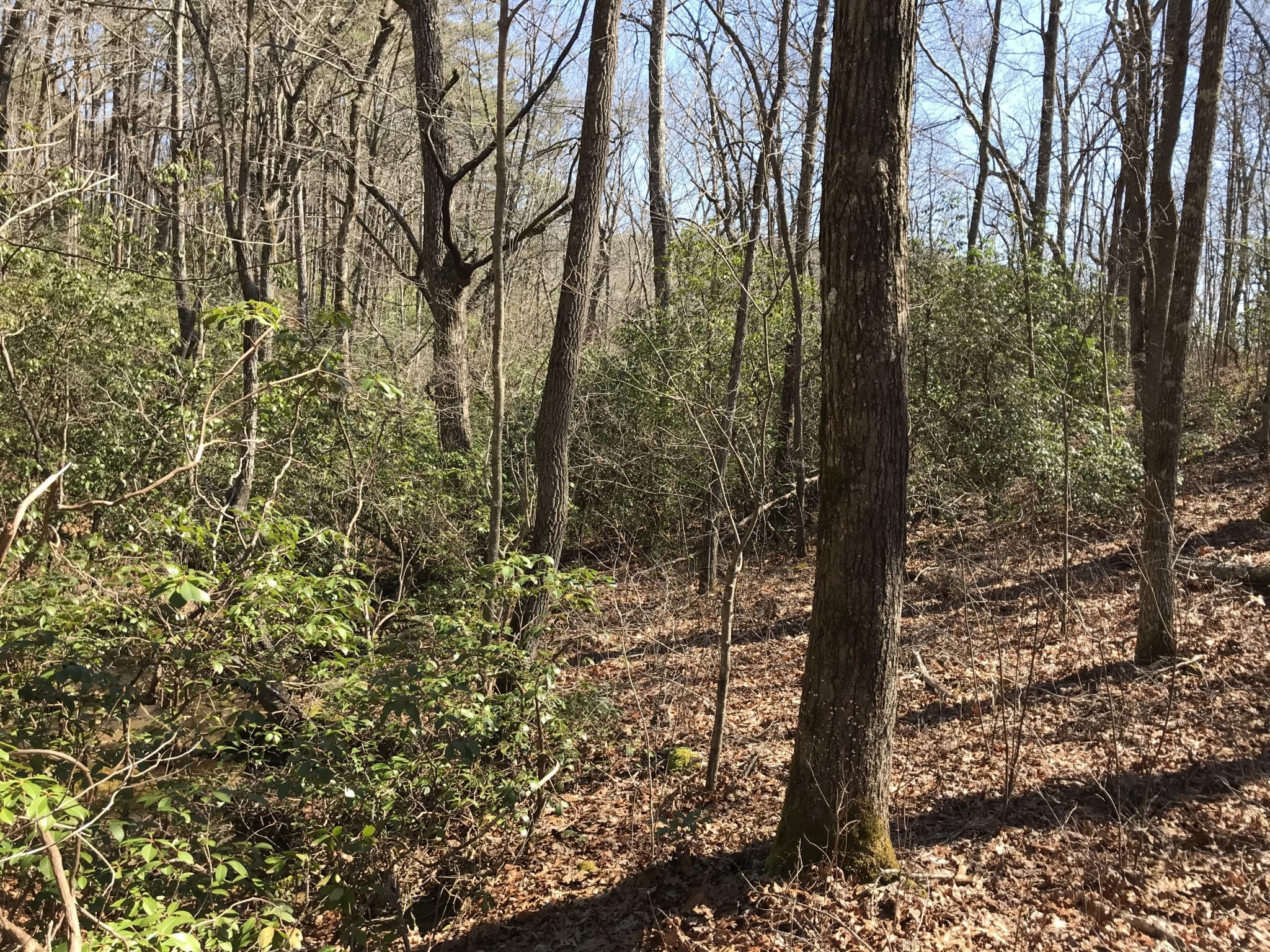 3 Deerhead Road