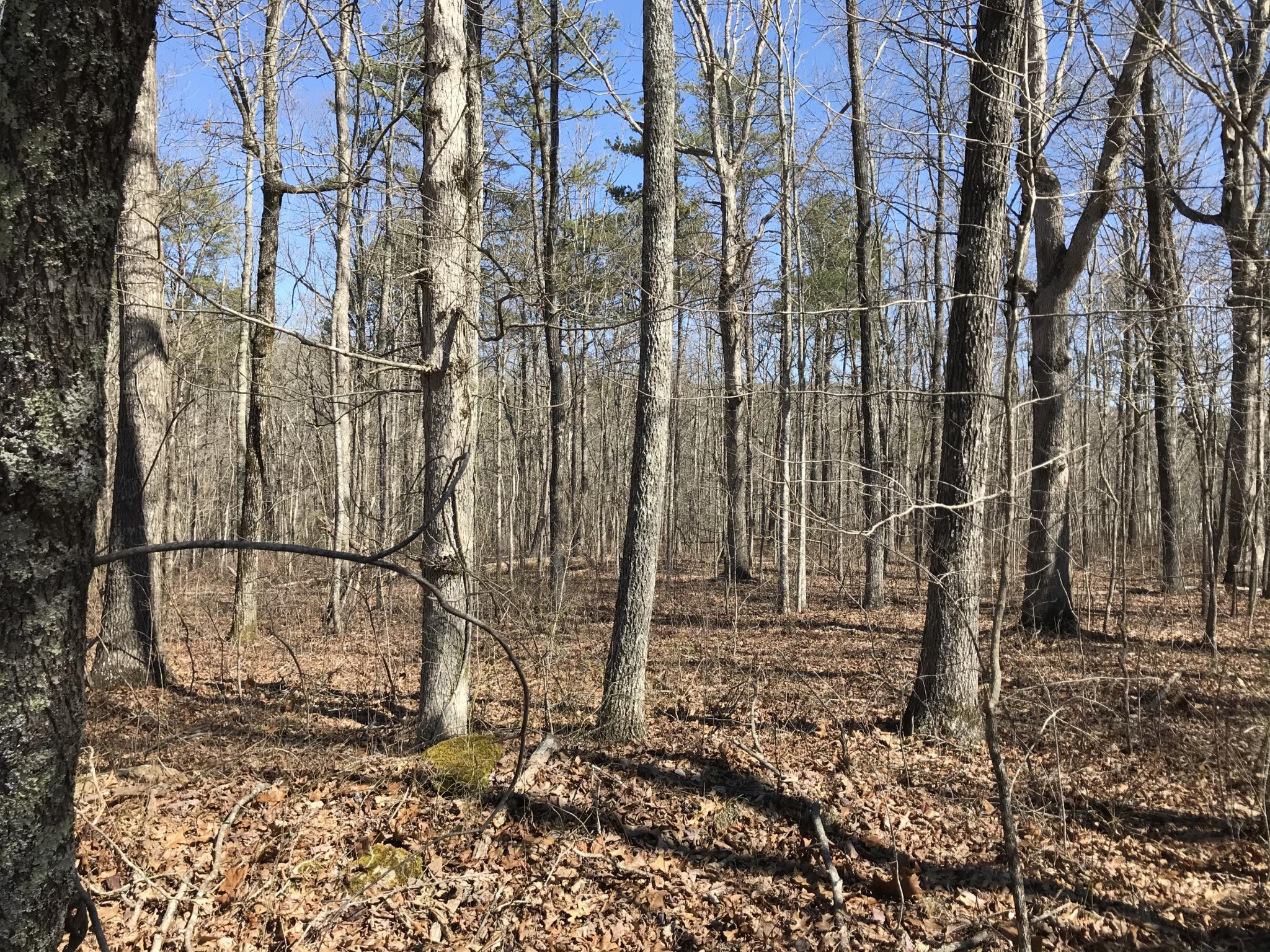 3 Deerhead Road