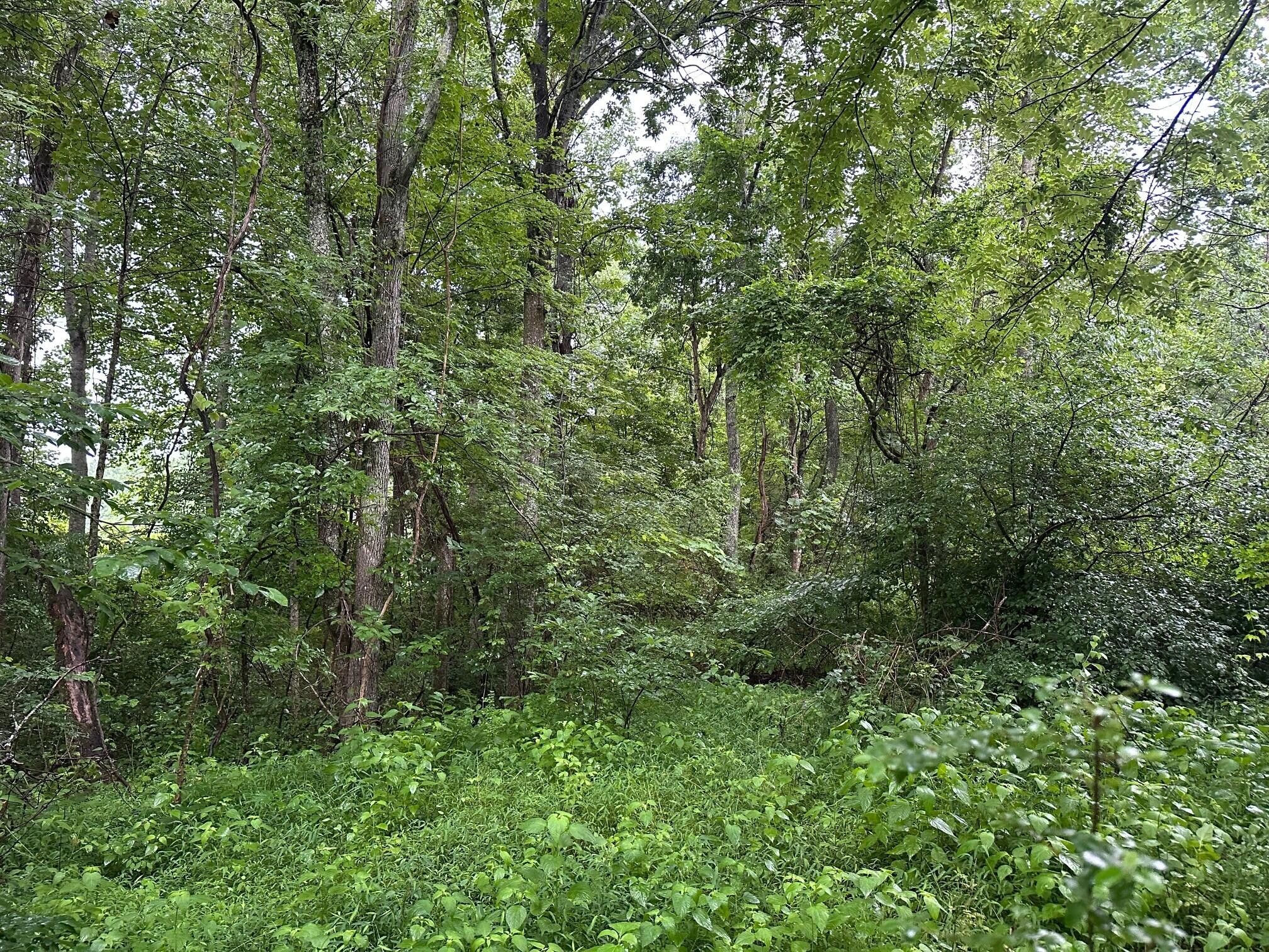 3 Saw Mill Road