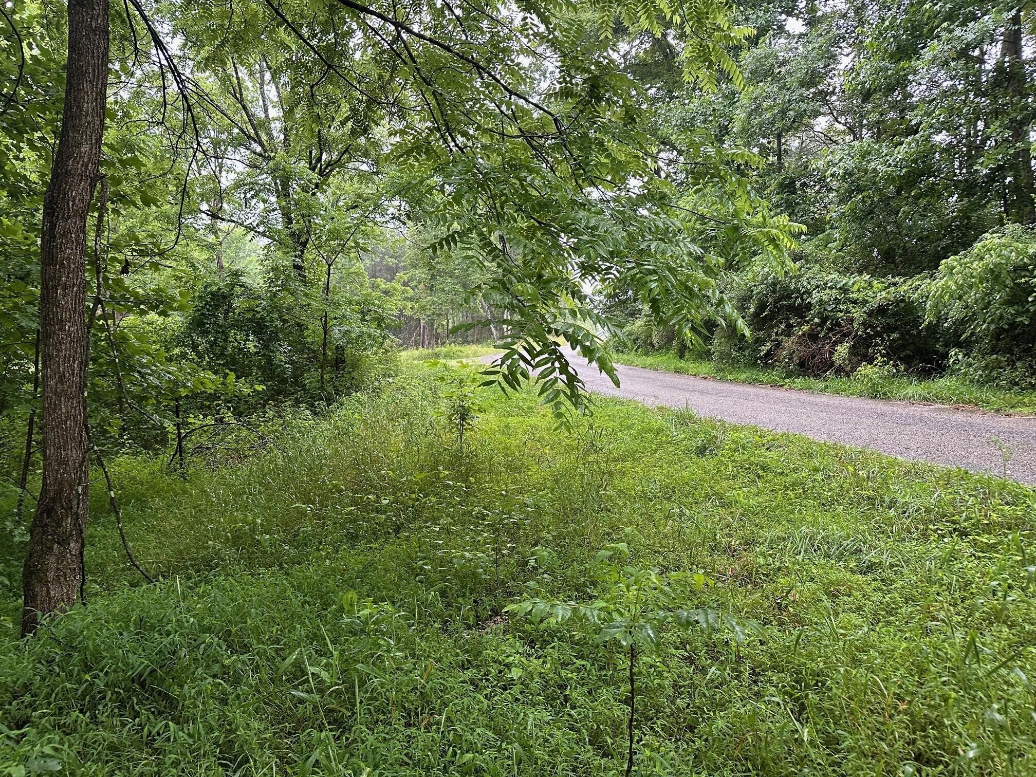 3 Saw Mill Road