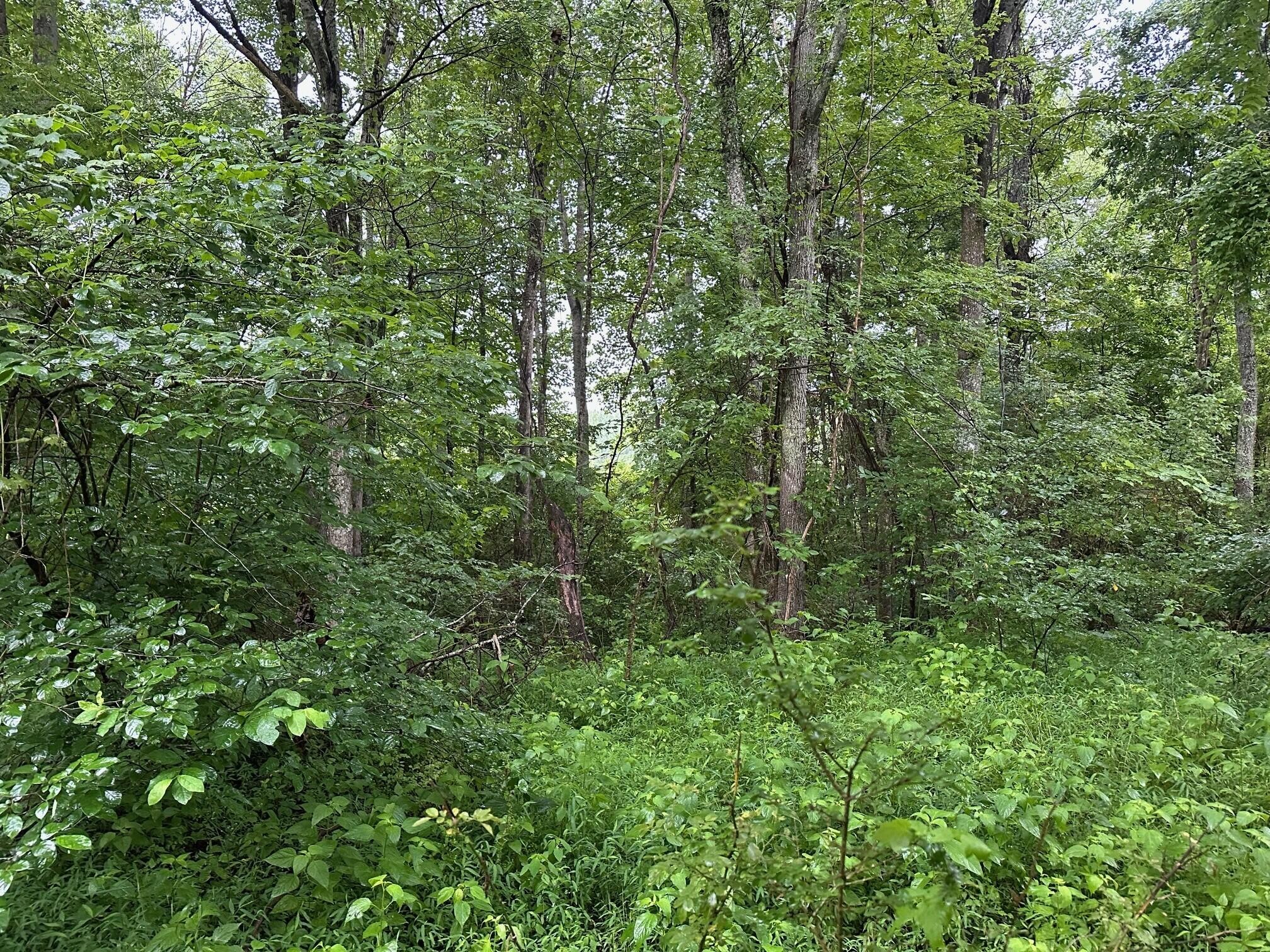 3 Saw Mill Road