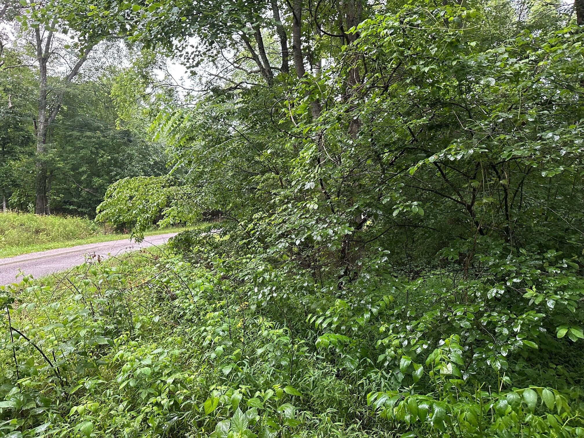 3 Saw Mill Road