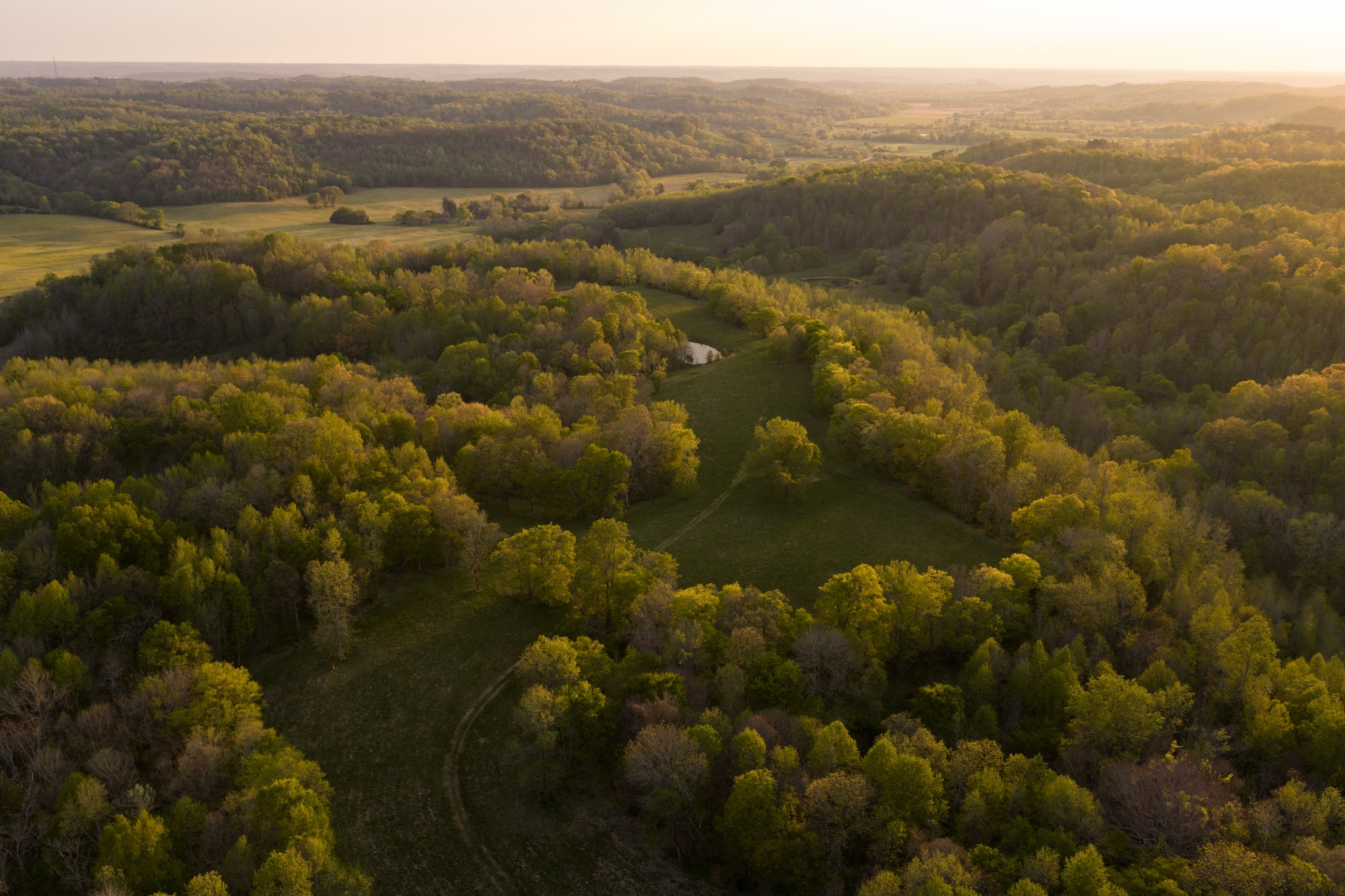 3345 Pigeon Roost Rd