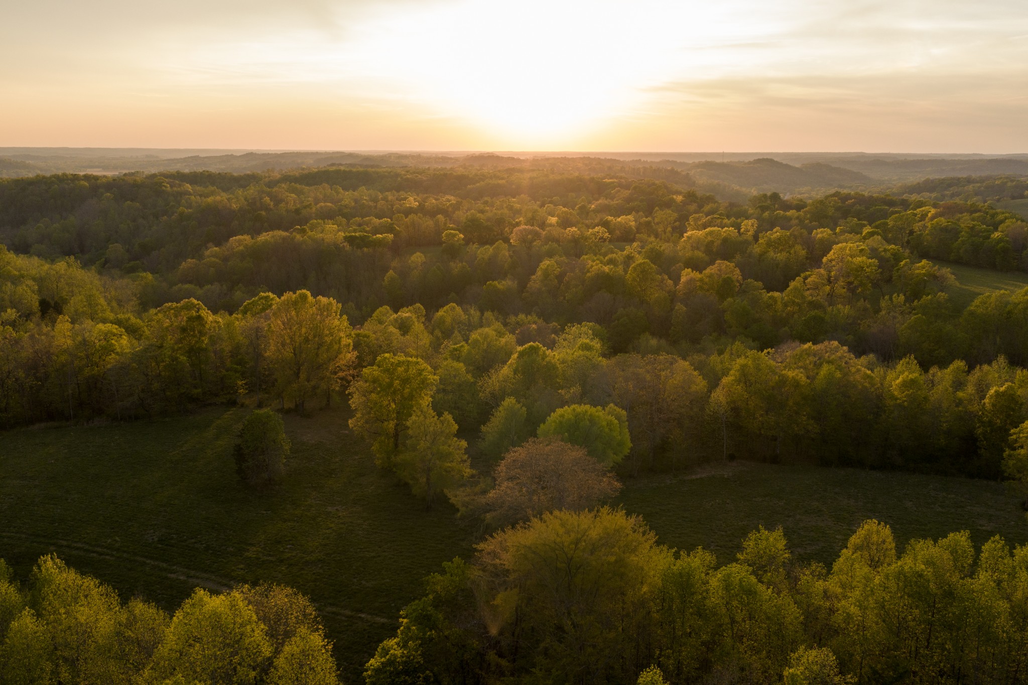 3345 Pigeon Roost Rd