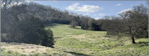 5335 Browning Branch Rd Bethpage TN 37022