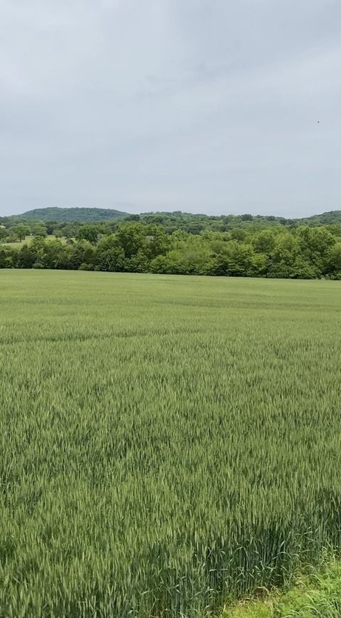 513 Suzanne Way Bethpage TN 37022