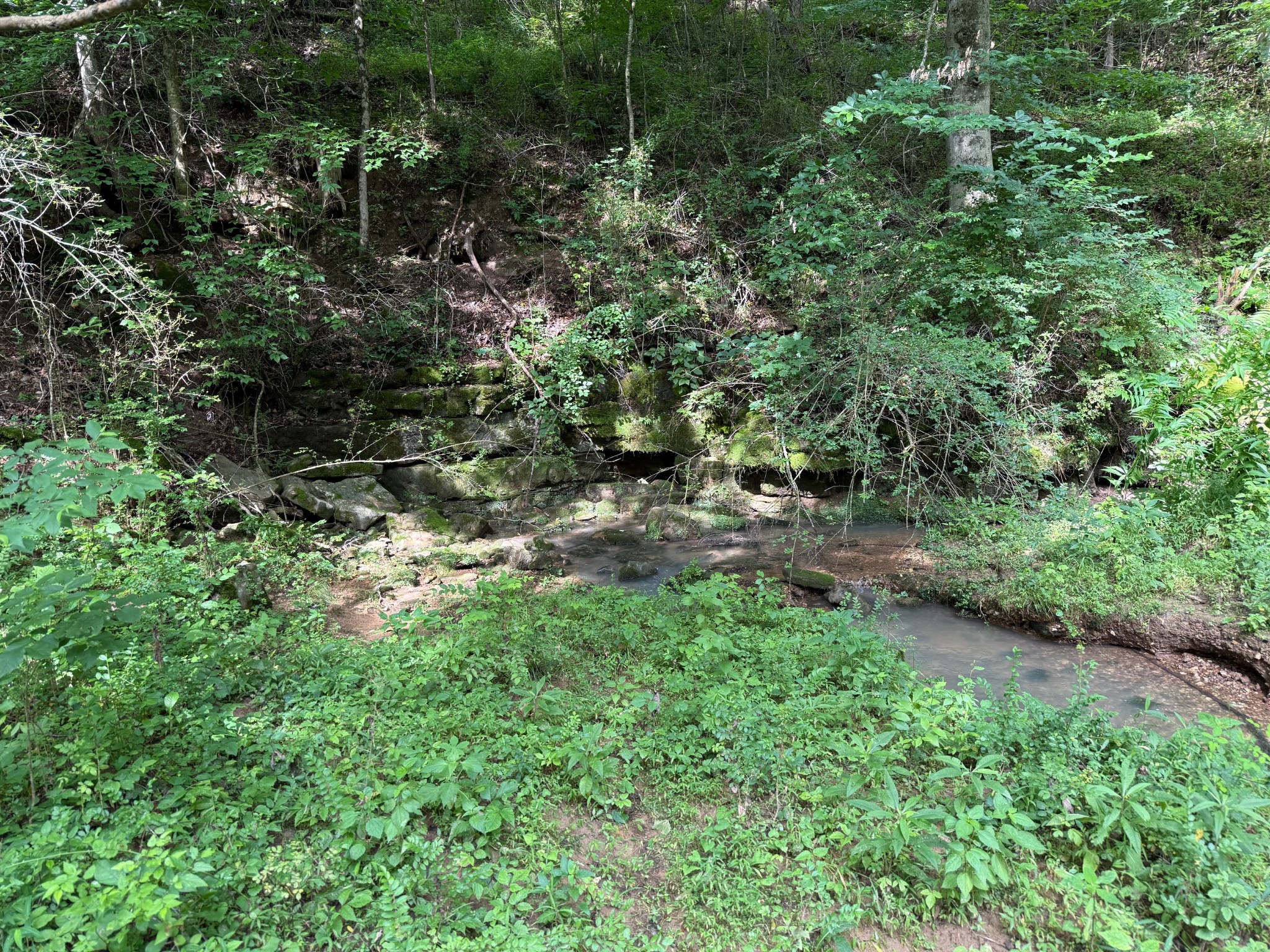 0 Cane Creek Road