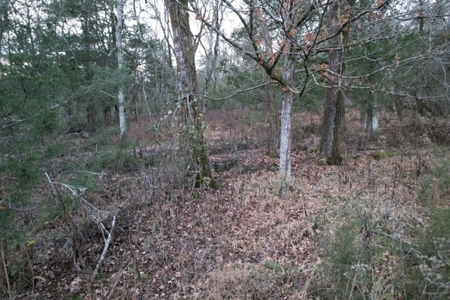 0 INTERSTATE 65 ACCESS ROAD