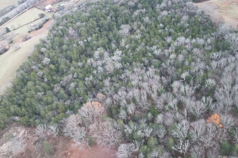 0 INTERSTATE 65 ACCESS ROAD