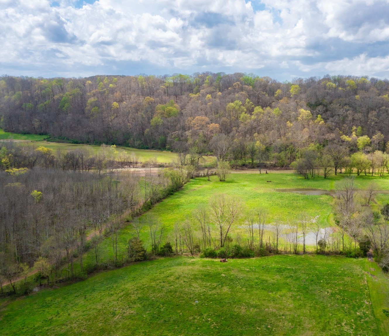 9019 S Harpeth Ct