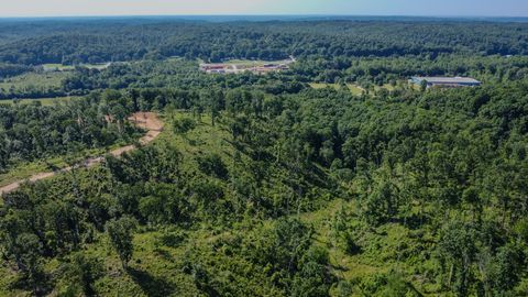 0 W Trace Creek Rd Waverly TN 37185