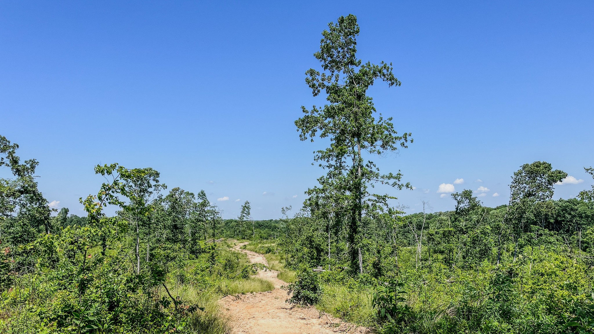 0 W Trace Creek Rd
