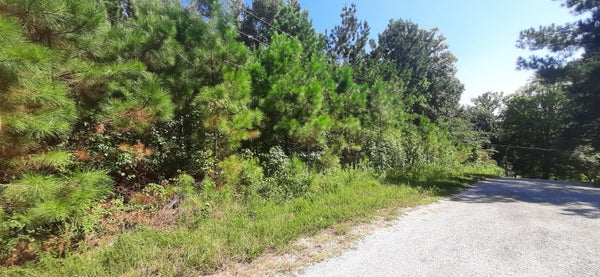 TATE DR, BUCHANAN, TN 38222 - Image 6b1e412d4d02dcdd2e1802ddc0d86b47/2384502214