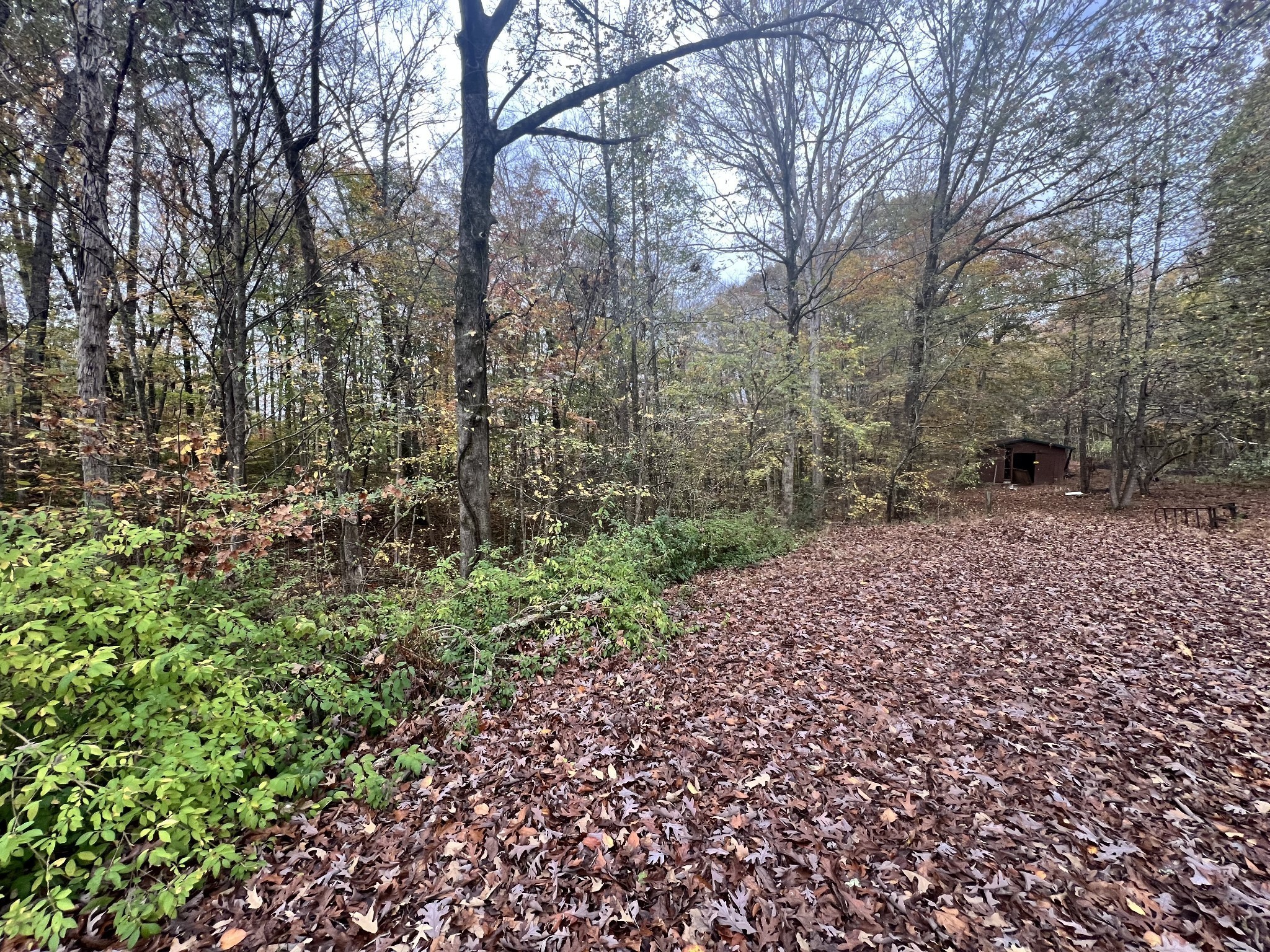 1509 Highway 49 E