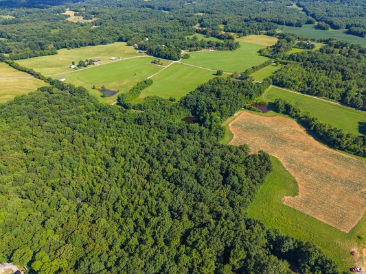 POPLAR RIDGE RD, CHAPMANSBORO, TN 37035 - Image 6b4c6c812be8cb3daf7f6c5f2ef4be52/3363926328