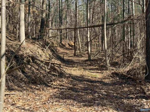 0 County Road 261 Town Creek AL 35672